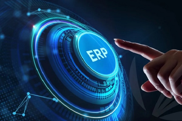 ERP services